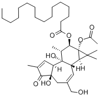 CAS 登录号：20839-12-7， 12-O-棕榈酰佛波醇-13-乙酸酯
