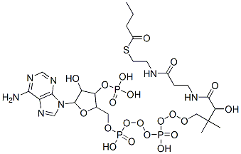 CAS 登录号：2140-48-9， 辅酶 A S-丁酸酯