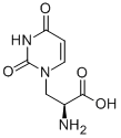 CAS 登录号：21416-43-3， (alphaS)-alpha-氨基-3,4-二氢-2,4-二氧代-1(2H)-嘧啶丙酸