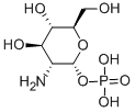 CAS 登录号：2152-75-2， [(2R,3R,4R,5S,6R)-3-氨基-4,5-二羟基-6-(羟基甲基)四氢吡喃-2-基]磷酸二氢酯