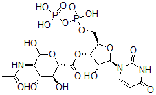 CAS 登录号：21654-37-5， 尿苷-N-乙酰基葡萄糖胺糖醛酸