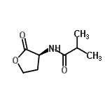 CAS 登录号：221292-05-3， 2-甲基-N-[(3S)-2-氧代四氢-3-呋喃基]丙酰胺