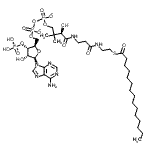 CAS#: 24870-39-1, 5'-O-[Hydroxy[[Hydroxy[[(3R)-3-Hydroxy-2,2-Dimethyl-4-Oxo-4-[[3-Oxo-3-[[2-[(1-Oxopentadecyl)Thio]Ethyl]Amino]Propyl]Amino]Butyl]Oxy]Phosphinyl]Oxy]Phosphinyl]-Adenosine 3'-(Dihydrogen Phosphate) I On(2-)