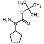 CAS 登录号：259870-74-1， 2-甲基-2-丙基1-环戊基肼羧酸酯