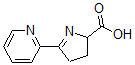 CAS#: 26927-08-2, 3,4-Dihydro-5-(2-pyridinyl)-2H-Pyrrole-2-carboxylic acid