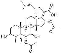 CAS#: 28393-42-2, Cephalosporin P1