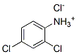 CAS#: 29084-76-2, 2,4-Dichloroaniline hydrochloride