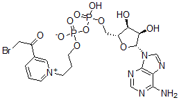 CAS#: 29486-87-1, Adenosine 5'-(trihydrogen diphosphate), P'-[3-[3-(bromoacetyl)pyridinio]propyl] ester,inner salt