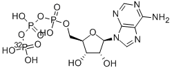 CAS#: 2964-07-0, Adenosine 5'-triphosphate-gamma-32P