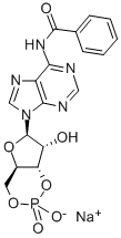 CAS 登录号：30275-80-0， N(6)-苯甲酰基腺苷 3',5'-环单磷酸酯