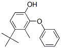 CAS#: 307000-42-6, 4-(2-tert-Butyl-5-methylphenoxy)phenol