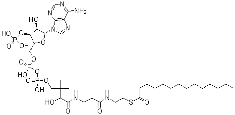 CAS#: 3130-72-1, Coenzyme A-S-Tetradecanoate