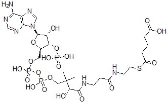 CAS#: 3131-84-8, 5-[2-[3-[[(2R)-4-[[[(2R,3S,4R,5R)-5-(6-Aminopurin-9-Yl)-4-Hydroxy-3-Phosphonooxyoxolan-2-Yl]Methoxy-Hydroxyphosphoryl]Oxy-Hydroxyphosphoryl]Oxy-2-Hydroxy-3,3-Dimethylbutanoyl]Amino]Propanoylamino]Ethylsulfanyl]-5-Oxopentanoic Acid