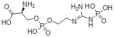 CAS#: 3160-53-0, (2S)-2-Amino-3-[2-[[Amino-(Phosphonoamino)Methylidene]Amino]Ethoxy-Hydroxyphosphoryl]Oxypropanoic Acid