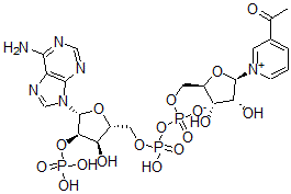 CAS#: 341-67-3, [(2R,3S,4R,5R)-5-(3-Acetylpyridin-1-Ium-1-Yl)-3,4-Dihydroxyoxolan-2-Yl]Methyl [[(2R,3R,4R,5R)-5-(6-Aminopurin-9-Yl)-3-Hydroxy-4-Phosphonooxyoxolan-2-Yl]Methoxy-Hydroxyphosphoryl] Phosphate