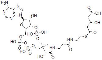 CAS#: 35192-10-0, 5-[2-[3-[[(2R)-4-[[[(2R,3S,4R,5R)-5-(6-Aminopurin-9-Yl)-4-Hydroxy-3-Phosphonooxyoxolan-2-Yl]Methoxy-Hydroxyphosphoryl]Oxy-Hydroxyphosphoryl]Oxy-2-Hydroxy-3,3-Dimethylbutanoyl]Amino]Propanoylamino]Ethylsulfanyl]-3-Hydroxy-5-Oxopentanoic Acid