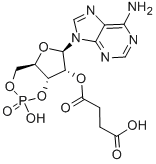CAS 登录号:36940-87-1, 2'-O-单丁二酰腺苷 3',5'-环单磷酸酯