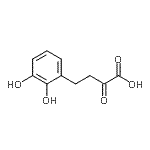 CAS#: 372510-78-6, 4-(2,3-Dihydroxyphenyl)-2-Oxobutanoic Acid