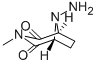 CAS#: 38074-20-3, 8-Amino-3-Methyl-3,8-Diazabicyclo(3.2.1)Octane-2,4-Dione