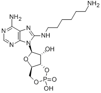 CAS#: 39824-30-1, 8-Aminohexylamino-adenosine cyclic monophosphate