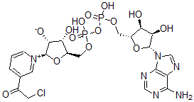 CAS#: 39938-03-9, (2R,3R,4S,5R)-5-[[[[(2R,3S,4R,5R)-5-(6-Aminopurin-9-Yl)-3,4-Dihydroxyoxolan-2-Yl]Methoxy-Hydroxyphosphoryl]Oxy-Hydroxyphosphoryl]Oxymethyl]-2-[3-(2-Chloroacetyl)Pyridin-1-Ium-1-Yl]-4-Hydroxyoxolan-3-Olate