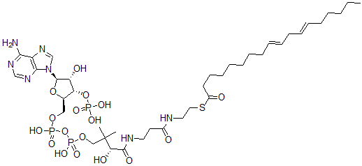 CAS#: 40757-80-0, Linoleoyl-Coenzyme A