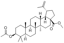 CAS#: 4356-30-3, Methyl 3b-Acetoxybetulinate