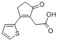 CAS#: 436086-95-2, (5-Oxo-2-Thiophen-2-Yl-Cyclopent-1-Enyl)-Acetic Acid