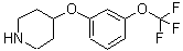 CAS#: 459819-38-6, 4-[3-(Trifluoromethoxy)Phenoxy]-Piperidine