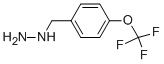 CAS#: 51887-20-8, 4-Trifluoromethoxy-Benzyl-Hydrazine