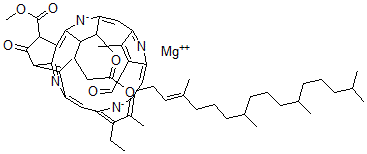 CAS 登录号:519-63-1, 叶绿素 D