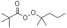 CAS#: 51938-28-4, Tert-Hexyl Peroxypivalate