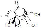 CAS#: 52557-29-6, 16-Hydroxyingenol