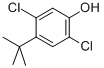 CAS#: 52780-22-0, 2,5-Dichloro-4-(1,1-Dimethylethyl)-Phenol