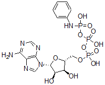 CAS 登录号：52830-41-8， 腺苷三磷酸酯 gamma-苯胺