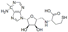 CAS 登录号:53228-06-1, S-N(6)-甲基腺苷高半胱氨酸