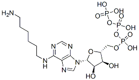CAS 登录号：53602-93-0， N(6)-氨基己基腺苷三磷酸酯