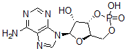 CAS 登录号：54532-48-8， 间型霉素环-3',5'-单磷酸酯