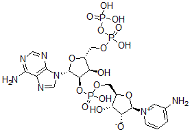 CAS 登录号：54758-28-0， 3-氨基吡啶腺嘌呤二核苷酸磷酸酯