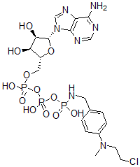 CAS 登录号：57835-10-6， 腺苷三磷酸酯-gamma-4-(N-2-氯乙基-N-甲基氨基)苄基酰胺