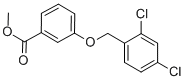 CAS#: 58041-99-9, Methyl 3-[(2,4-Dichlorobenzyl)Oxy]Benzenecarboxylate