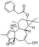 CAS 登录号：58821-98-0， 12-脱氧佛波醇 13-苯乙酸酯