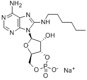 CAS#: 59212-44-1, 8-(Hexylamino)-Adenosine Cyclic 3',5'-(Hydrogen Phosphate)