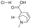 CAS#: 5937-74-6, (1R)-8-Methyl-8-Azabicyclo[3.2.1]Oct-3-Ene-2-Carboxylic Acid Hydrochloride
