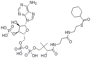CAS#: 5960-12-3, Cyclohexanecarboxyl-Coenzyme A