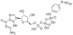 CAS#: 60869-76-3, GTP gamma-4-Azidoanilide