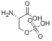 CAS 登录号：626-69-7， O-磺基-L-丝氨酸