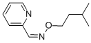 CAS#: 6267-20-5, 2-Pyridinecarboxaldehyde O-(3-Methylbutyl)Oxime