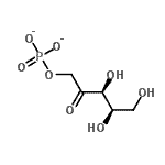 CAS 登录号：63323-91-1， 1-O-膦酸基-D-木酮糖