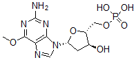 CAS 登录号:63642-13-7, O(6)-甲基脱氧鸟苷酸